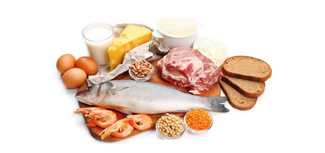Alimentos ricos en proteinas