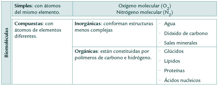 Tipos de Biomoléculas